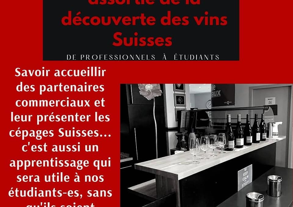Création d'entreprise assortie de la découverte de vins Suisses